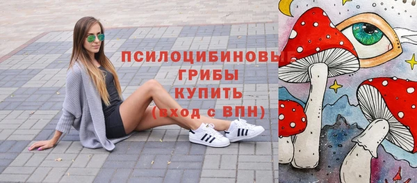 твердый Алзамай
