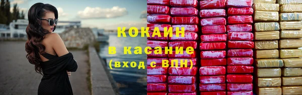 твердый Алзамай